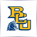 Briar Cliff University